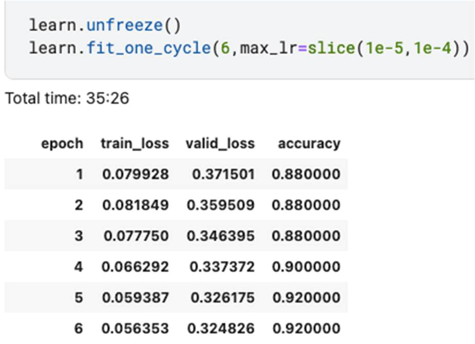 Fig. 3. Fine Tune Result of ResNet101