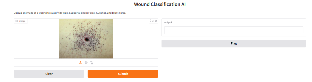 Fig (12a) WoundAI Classifier Interface – Gradio upload & classify